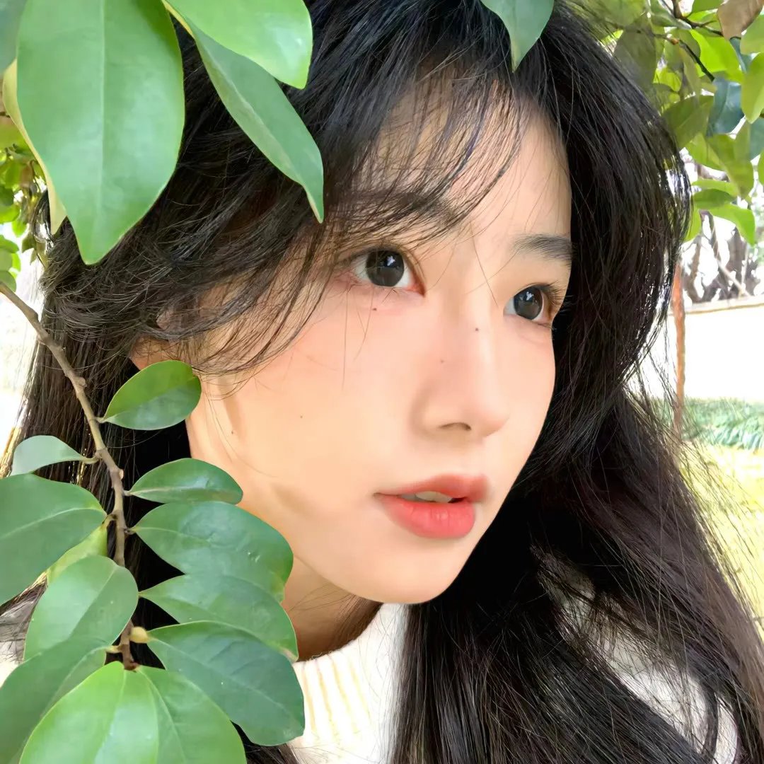 校园恰恰恰